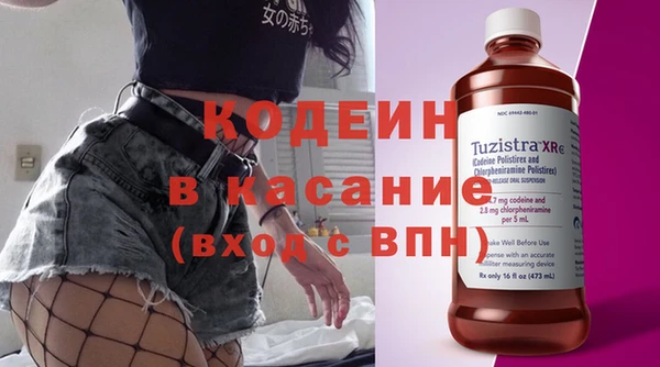 крисы Корсаков