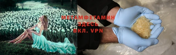 крисы Корсаков