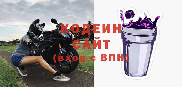 крисы Корсаков