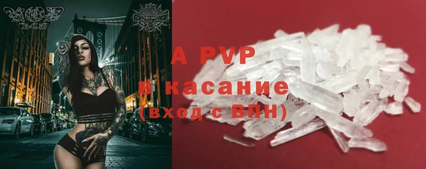 крисы Корсаков