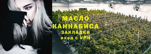 крисы Корсаков