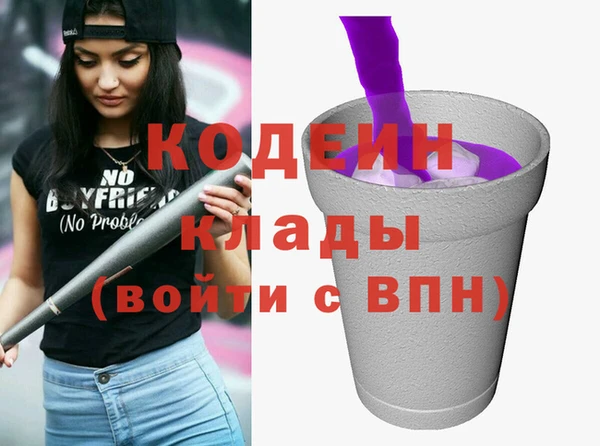 крисы Корсаков