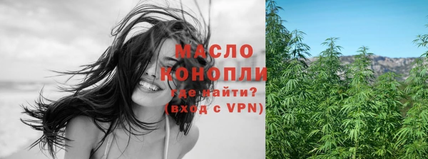 крисы Корсаков