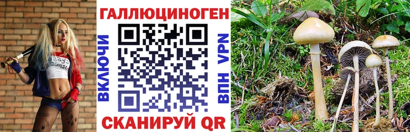 Купить  Амурск  Псилоцибиновые грибы ЛСД 